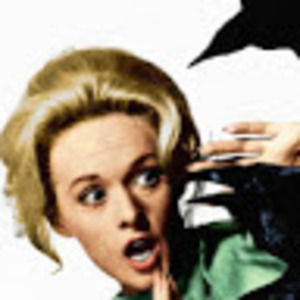 Meet your Posher, Tara